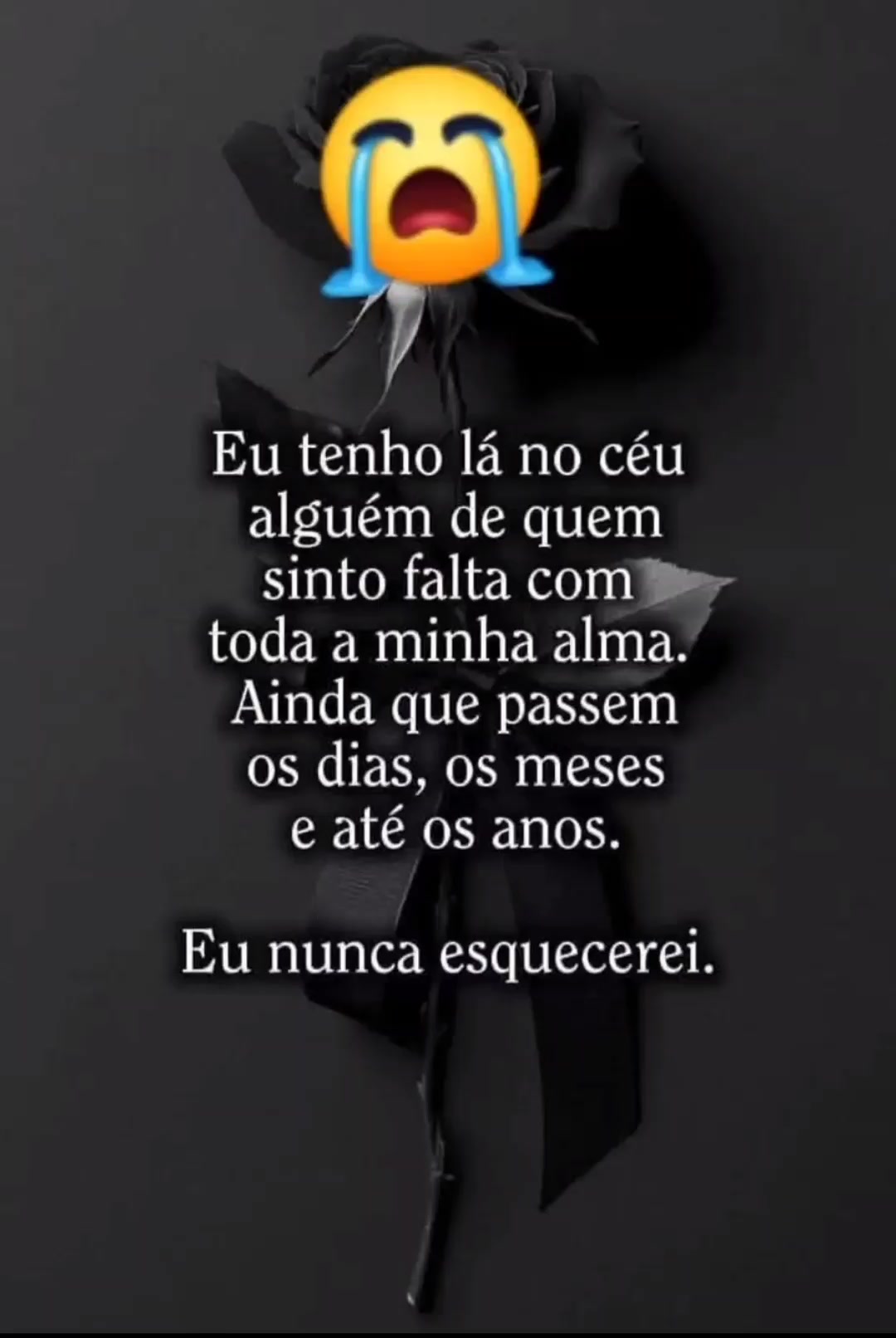 @Amanda Lacerda