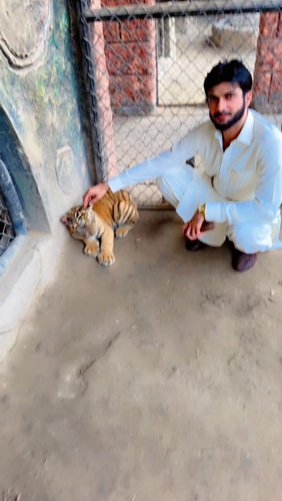 @Rana Kashif Rajpoot 786