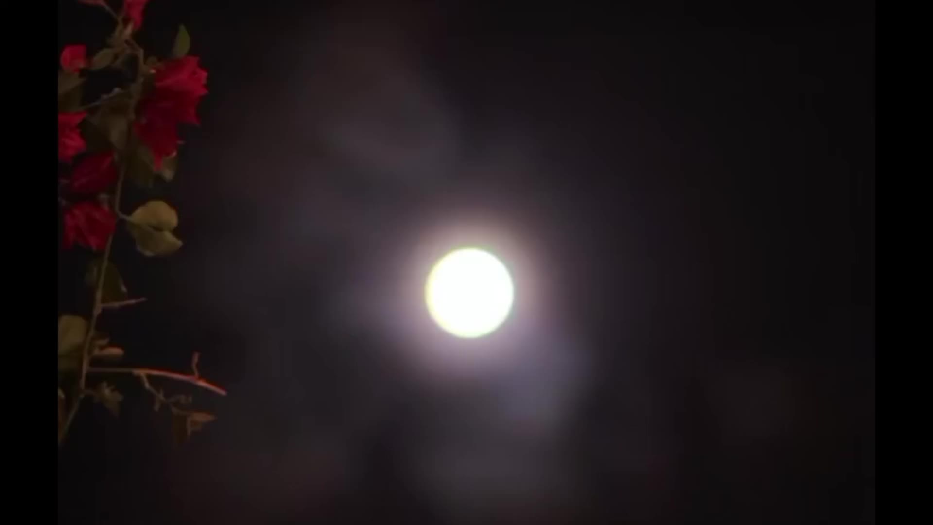 @🌑🖤