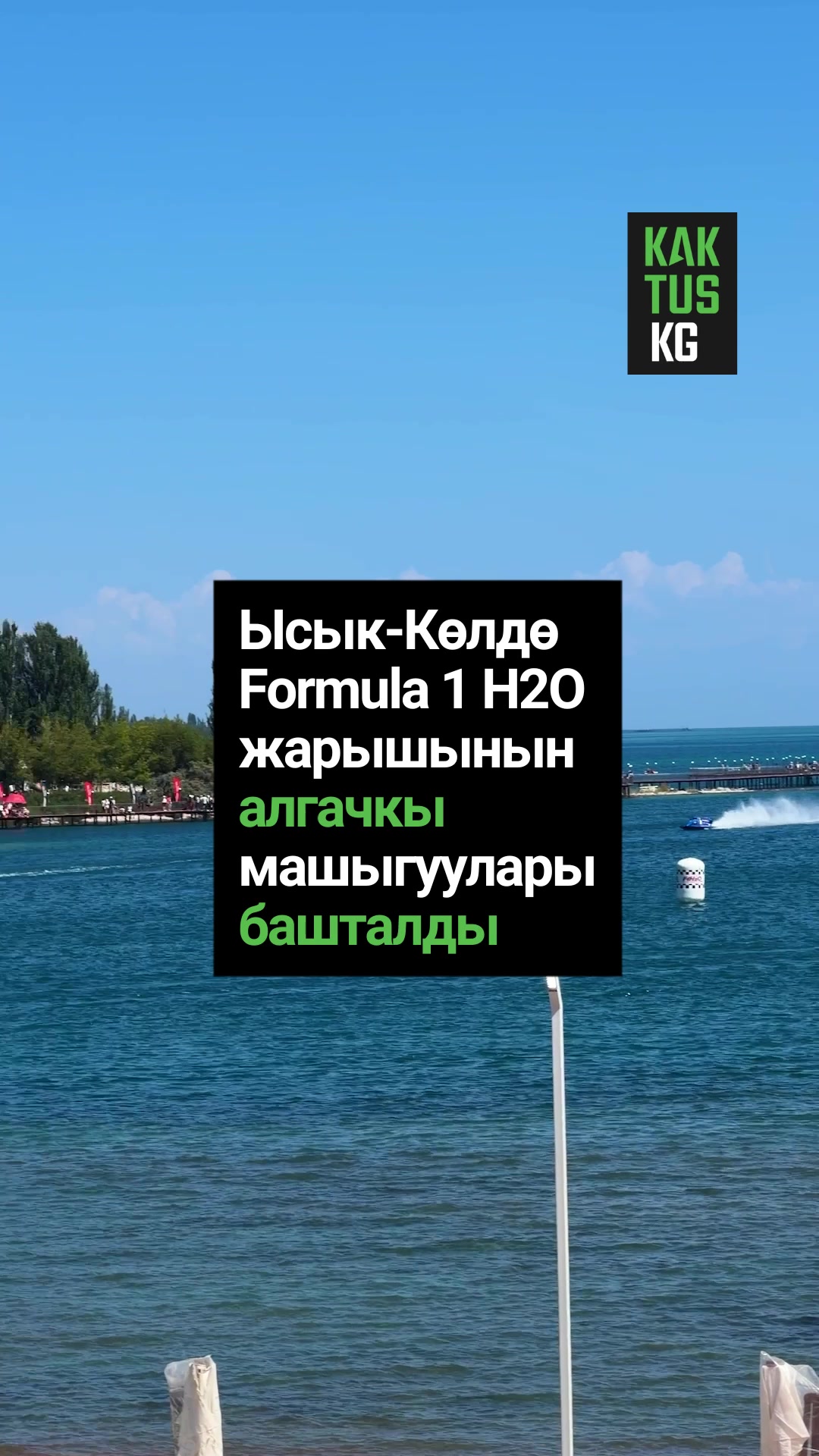 @Kaktus KG