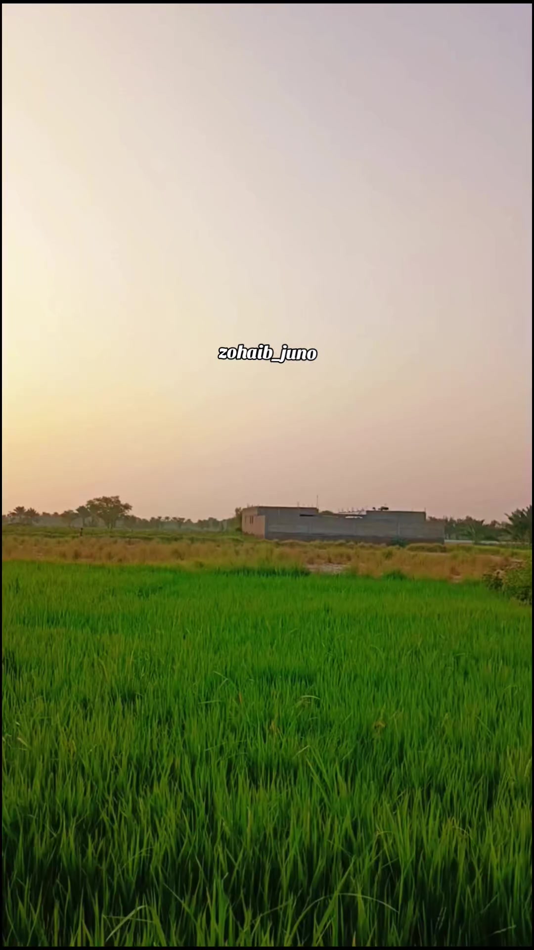 @ز..♡
