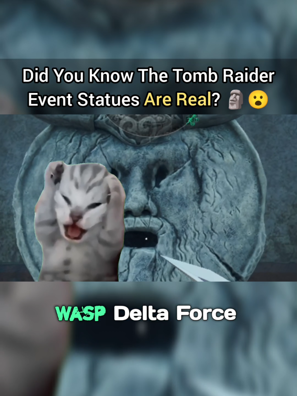 @Wasp Delta Force