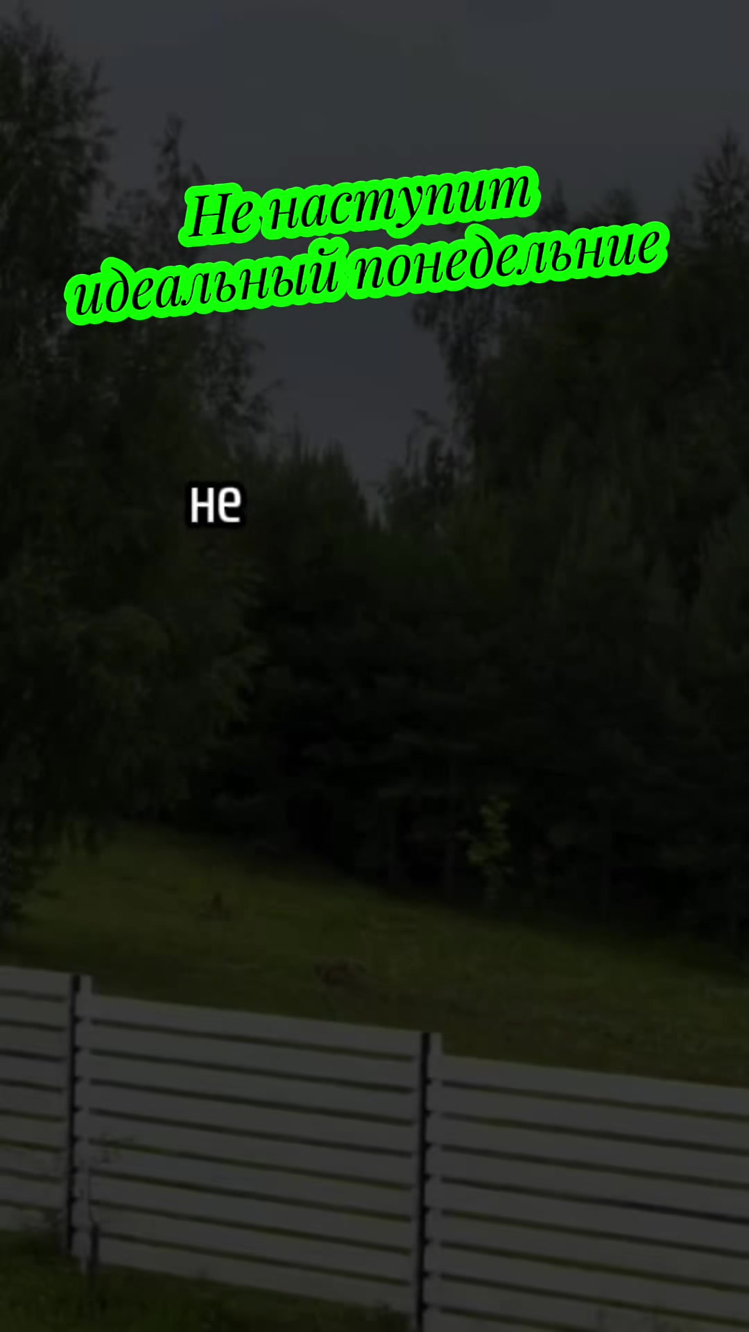 @СтрунаДуши