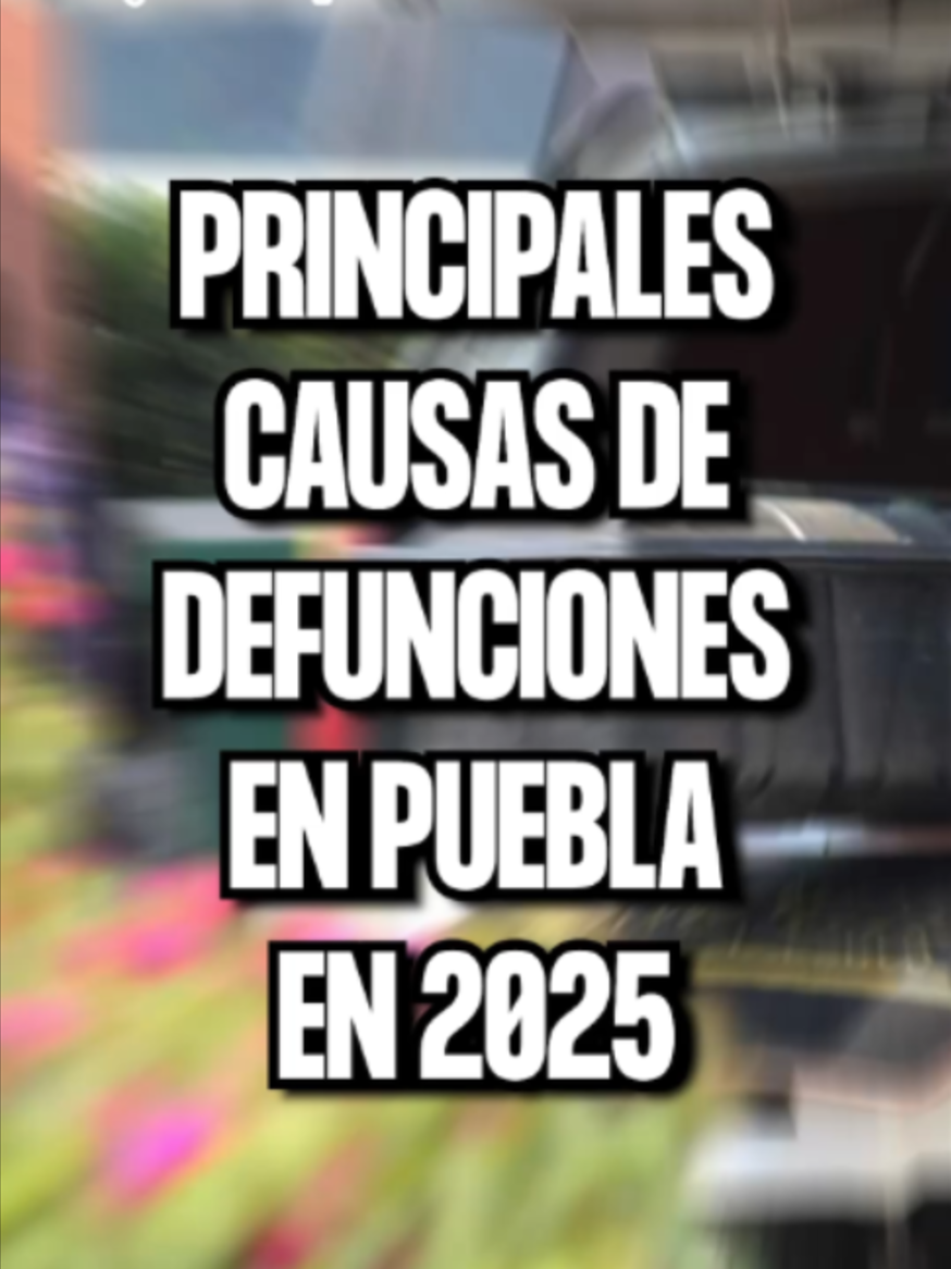 @Almanaque Puebla
