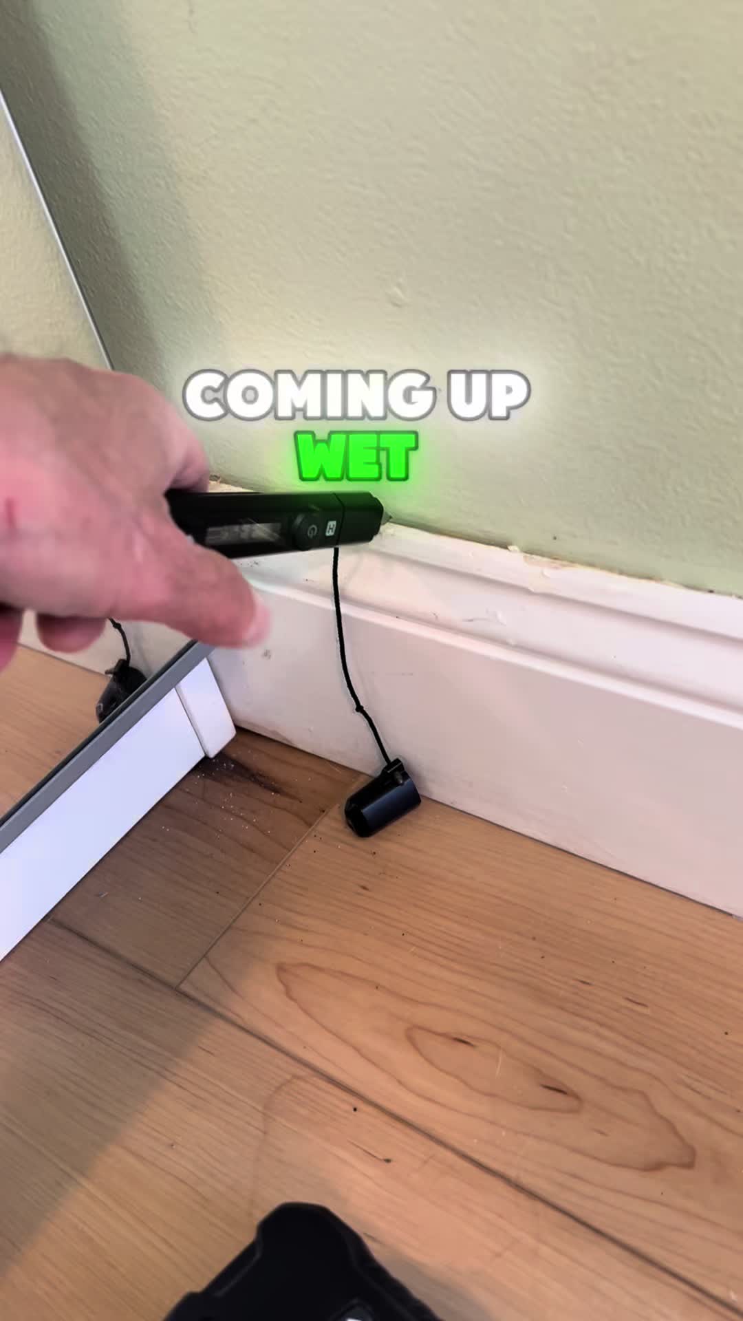 @Long Island Mold Guy