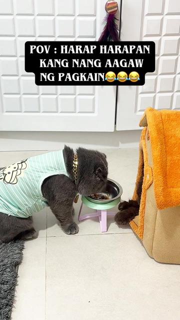 @@AkosiAteLiz