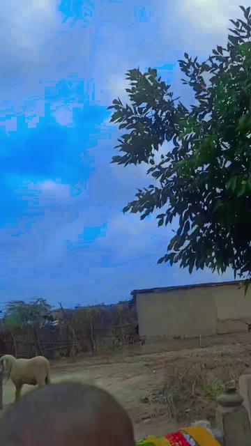 @Dev Makwana Kolhi