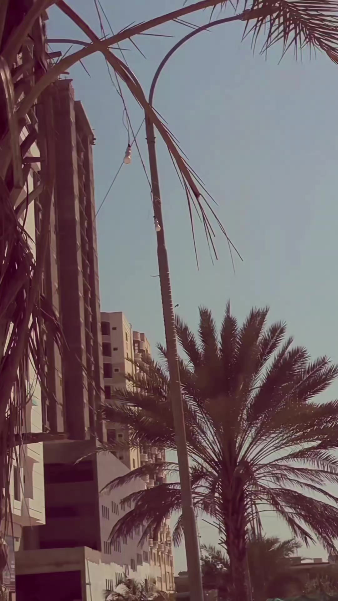 @𝙞𝙩𝙭 𝙢𝙚 𝙛𝙖𝙧𝙝𝙖𝙣⚜️