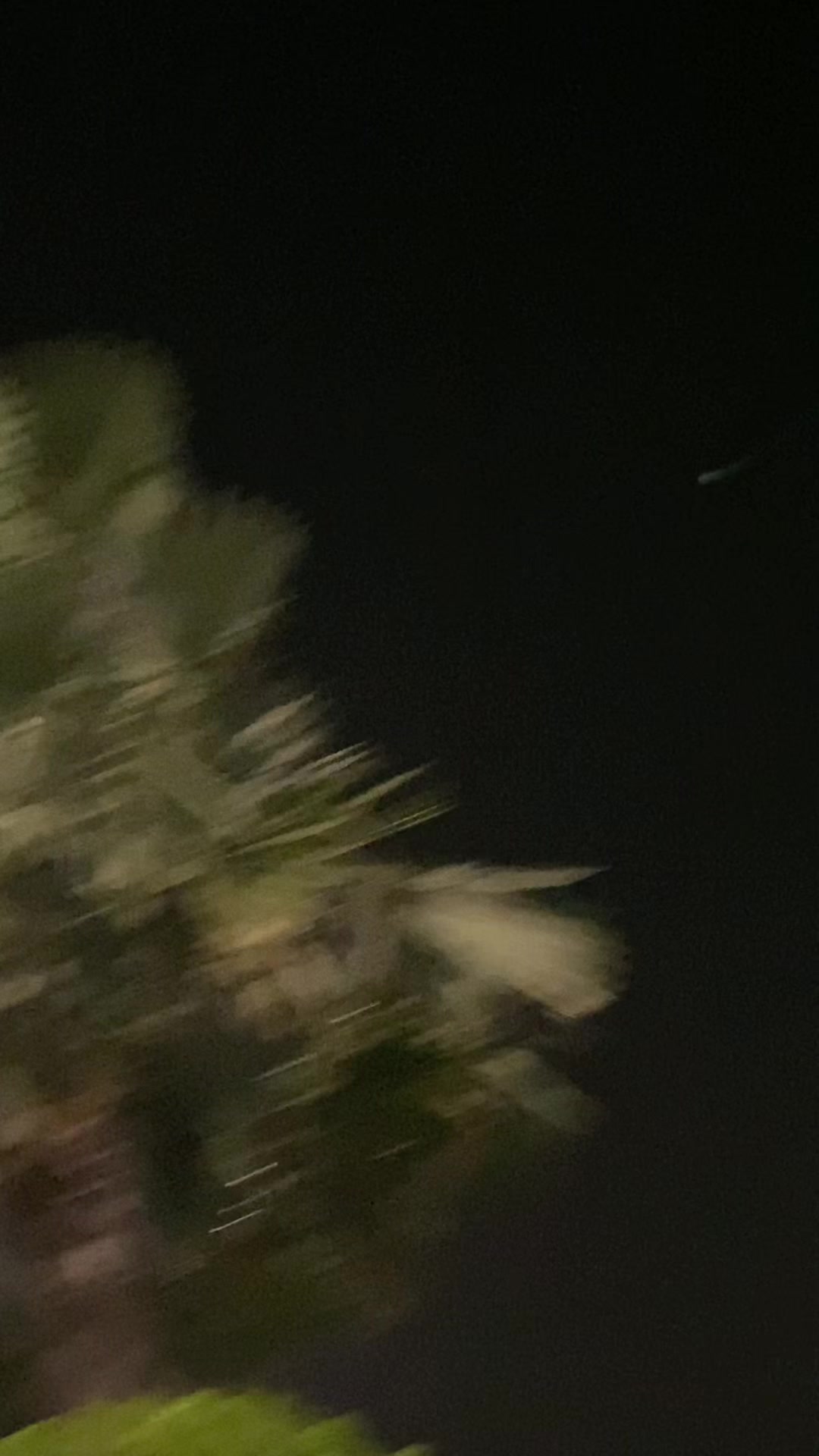 @😈MOON😈