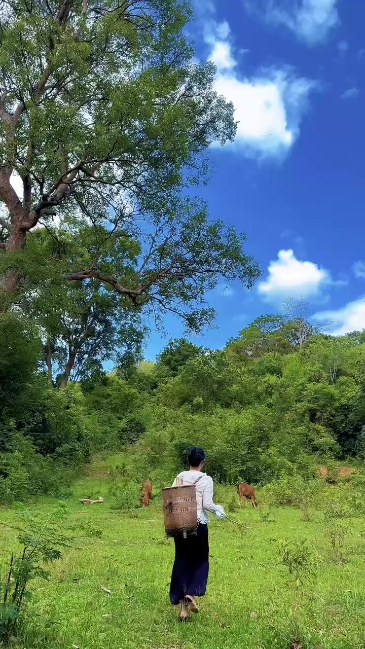 @Diệu Hiền