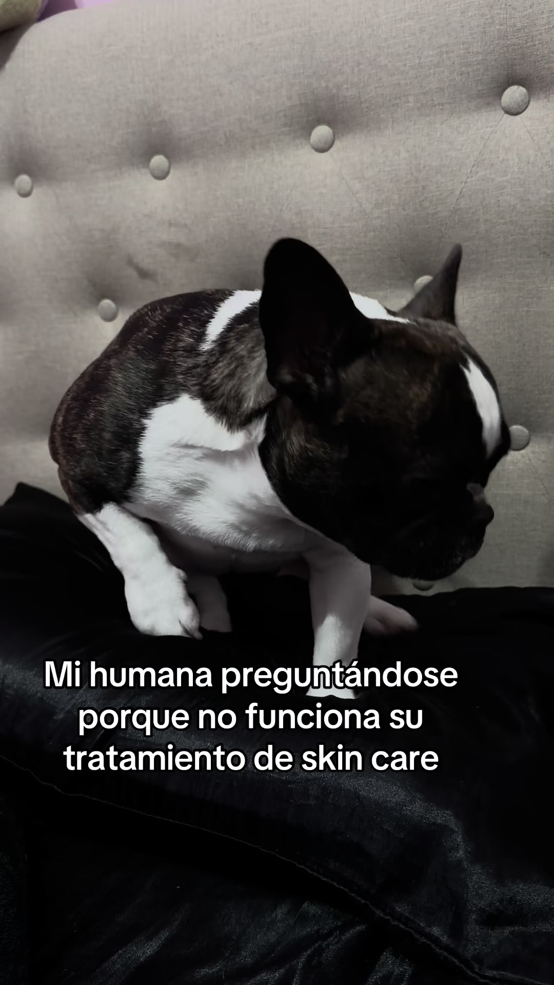 @steficurado1