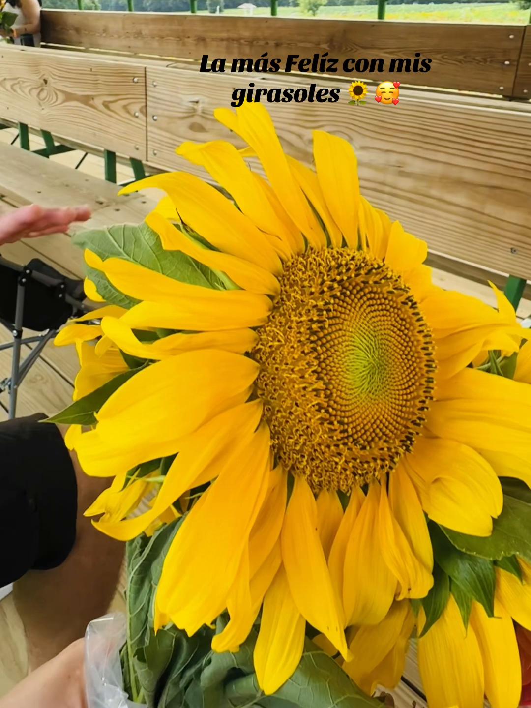 @Aida Ortíz💘🌻