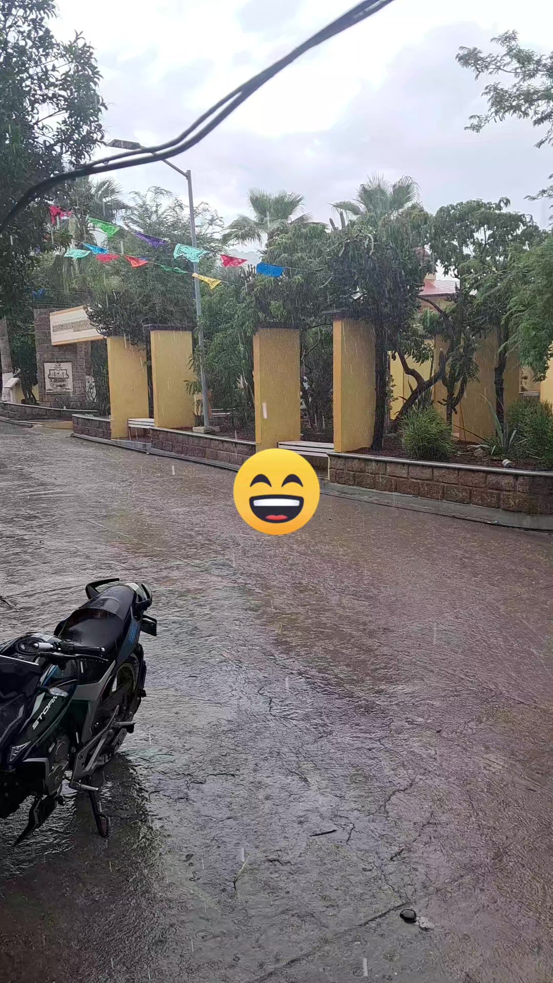 @Rojas Ely
