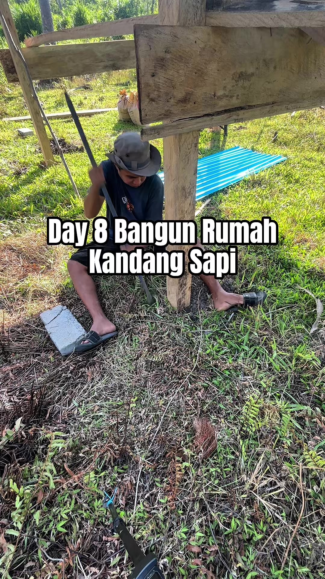 @Ka Bong 🌴