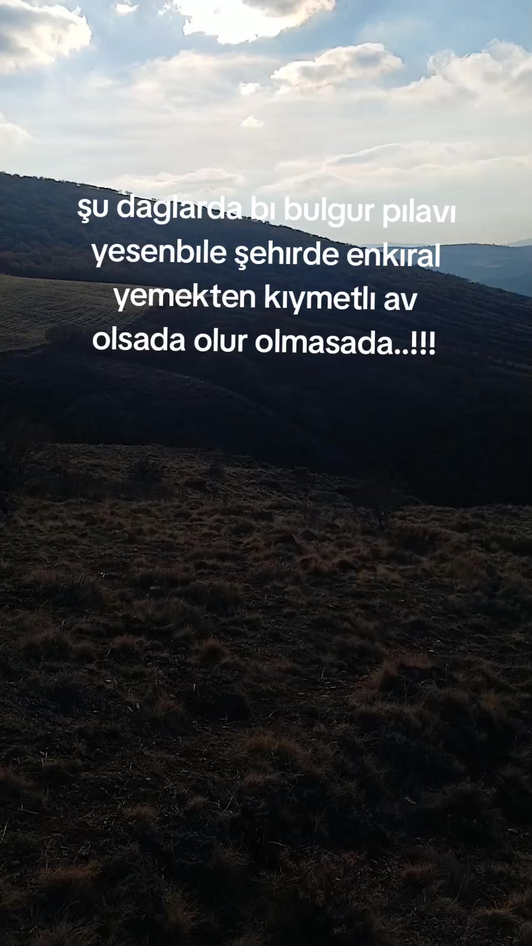 @avci