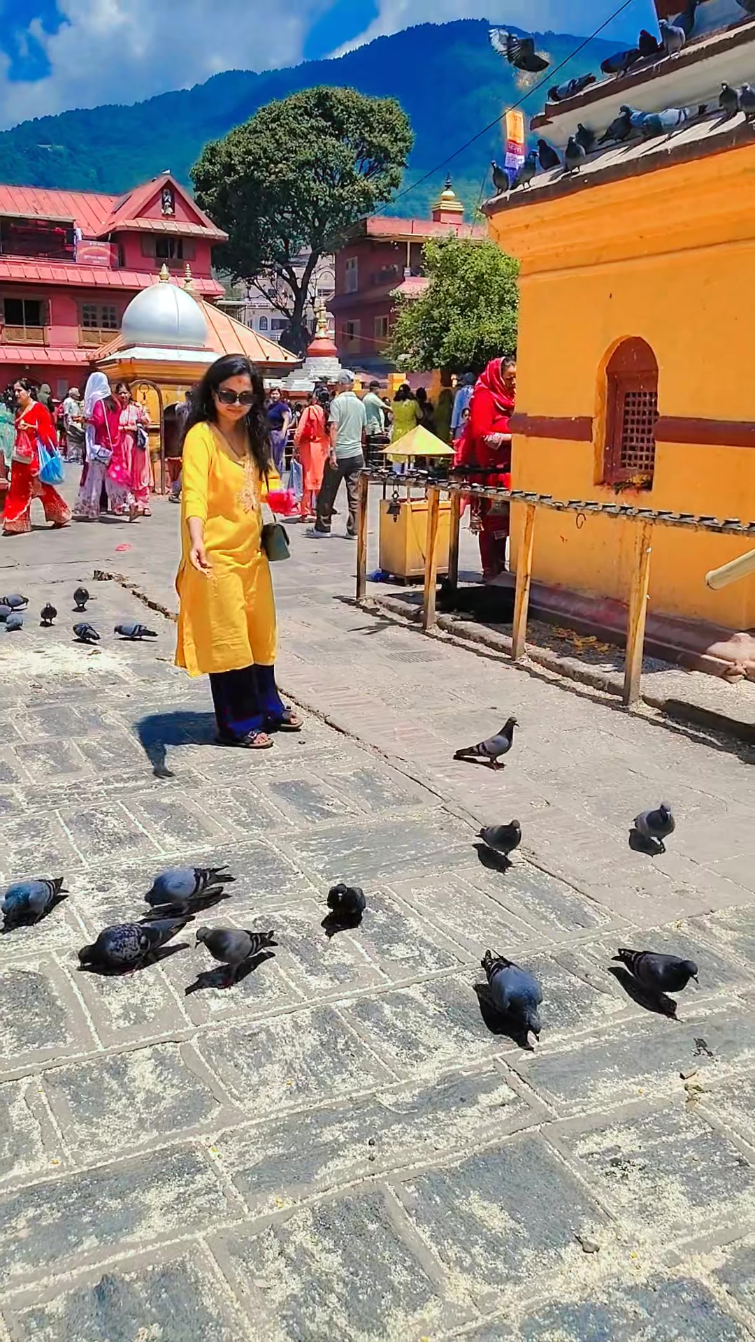 @amritachaudhary692