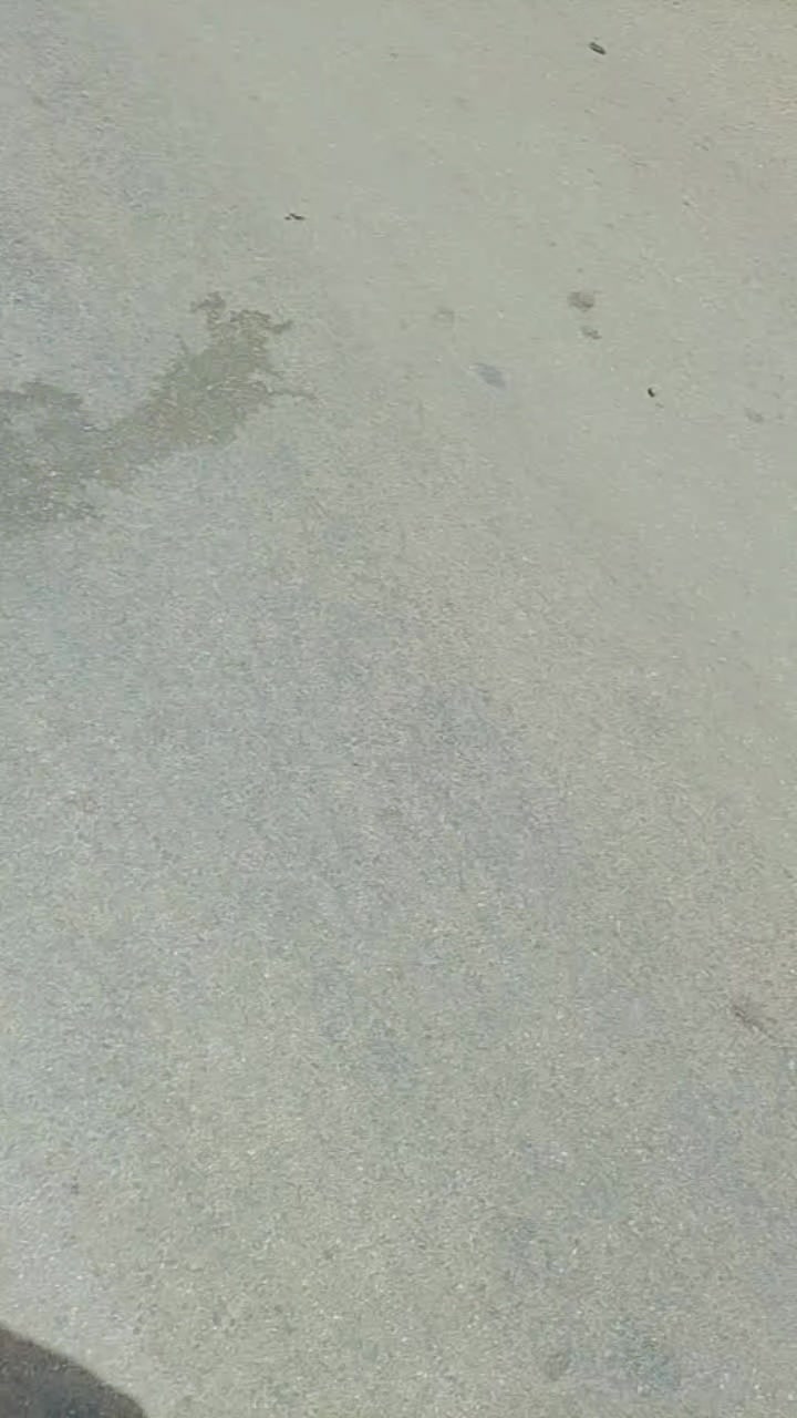 @নিশাত আহমেদ