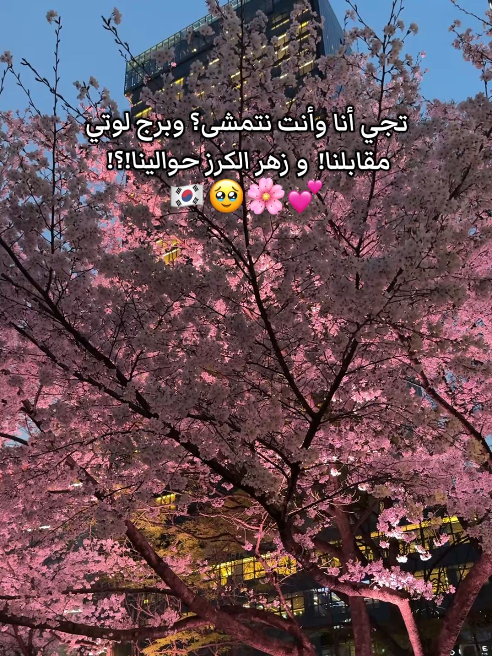 @Dr Rima 🇰🇷