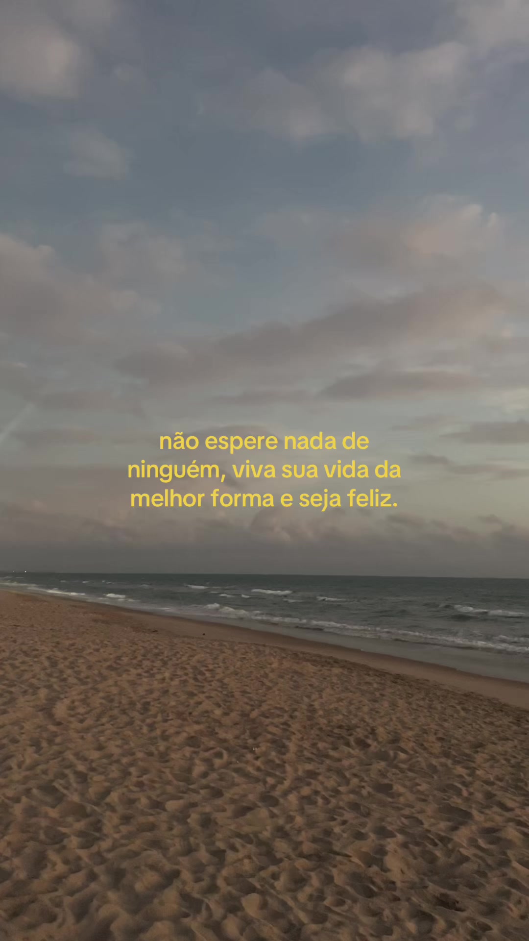 @vnz7