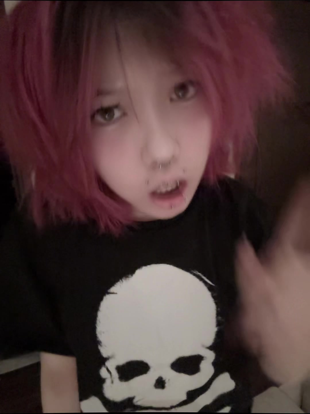 @птичка 2.0