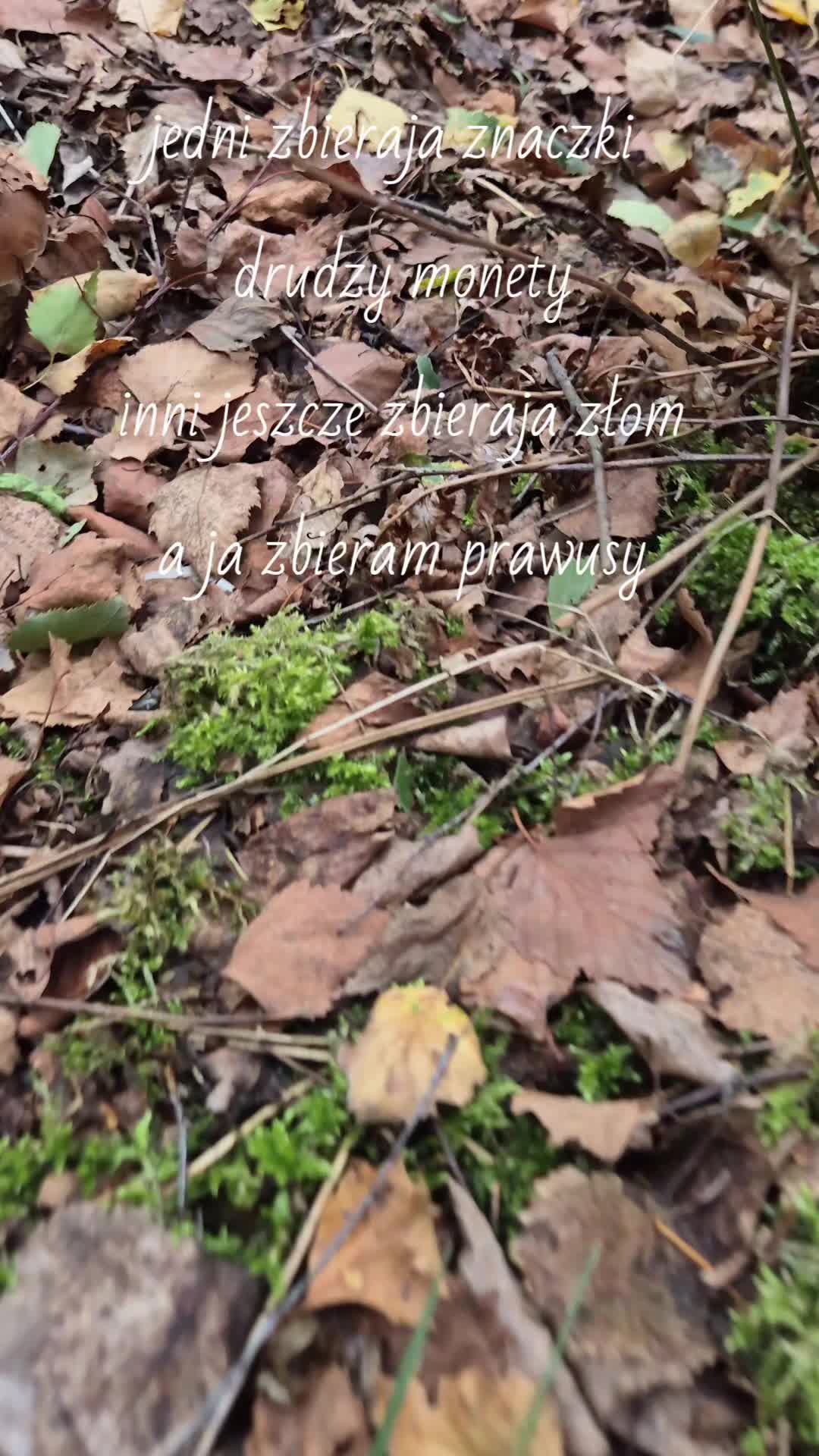 @Michael🇵🇱