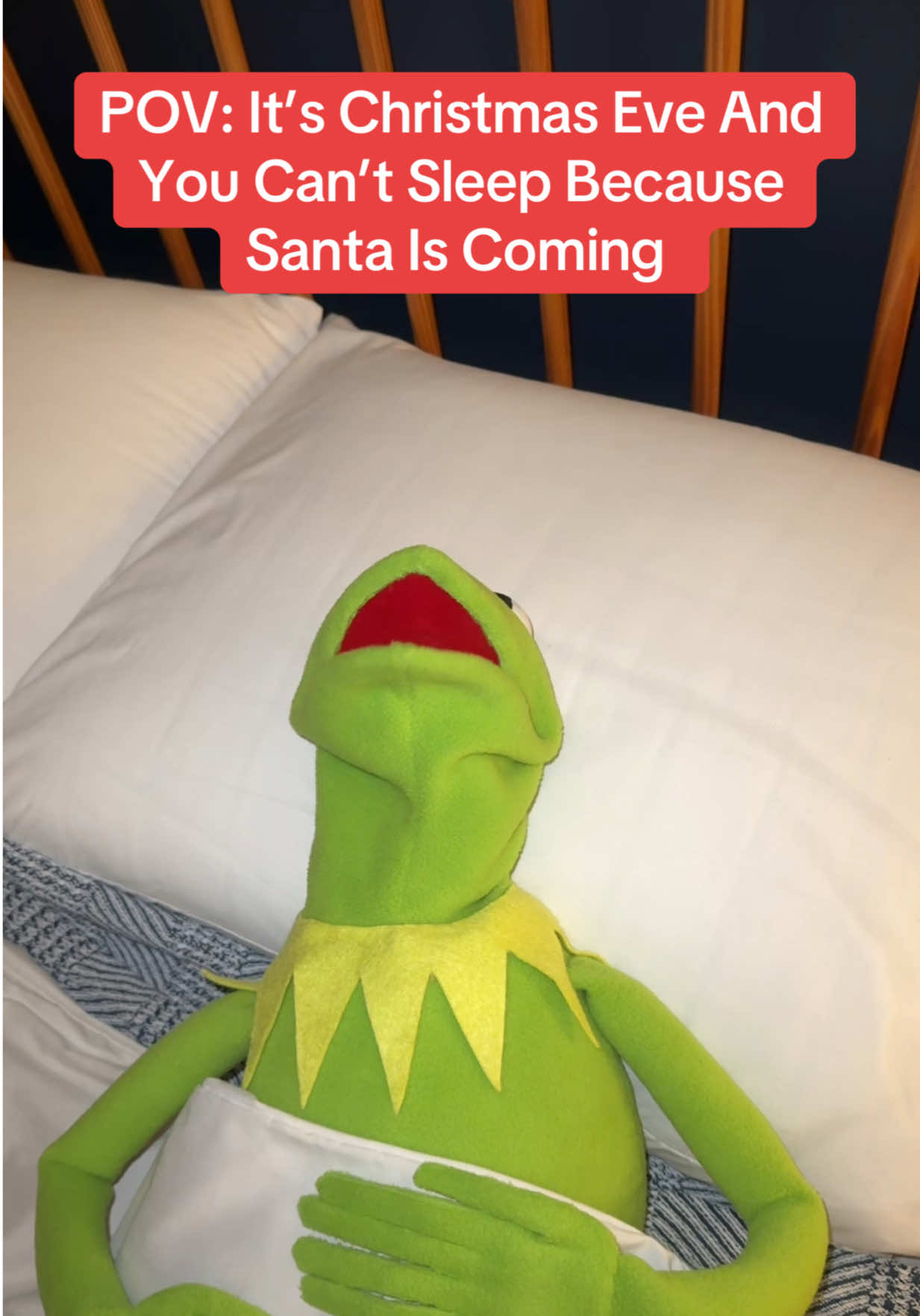 @Kermitthepuppet