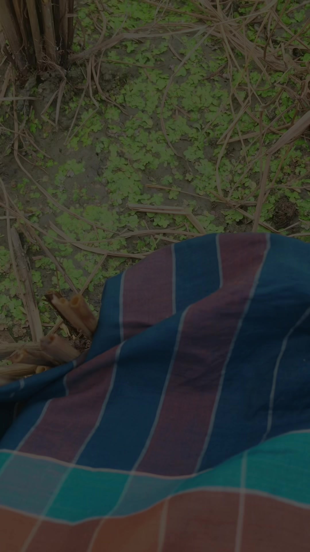 @প্রকৃতি প্রেমিক। 🌄🏞️