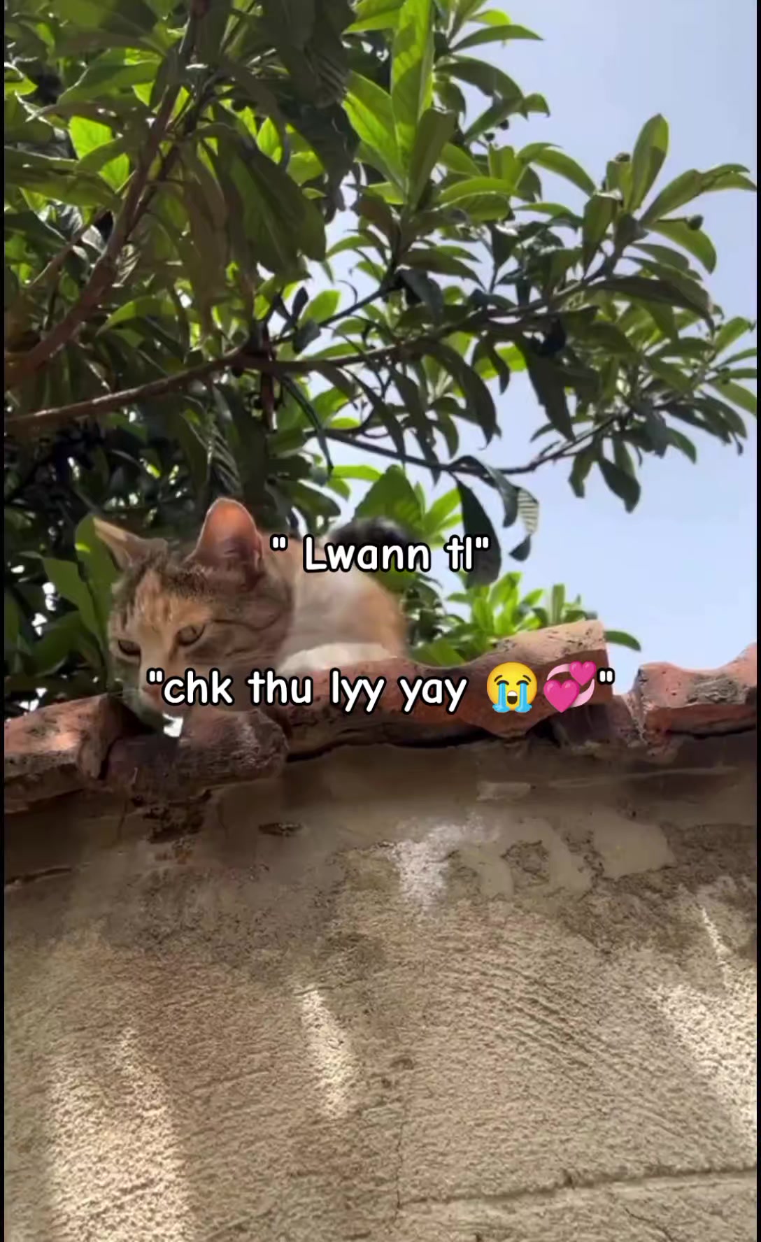 @๐ฃ๐ฅ๐๐ ๐ ๐๐ฌ๐ก๐ก ||๐ฃ๐ฅ๐ฆ๐ง