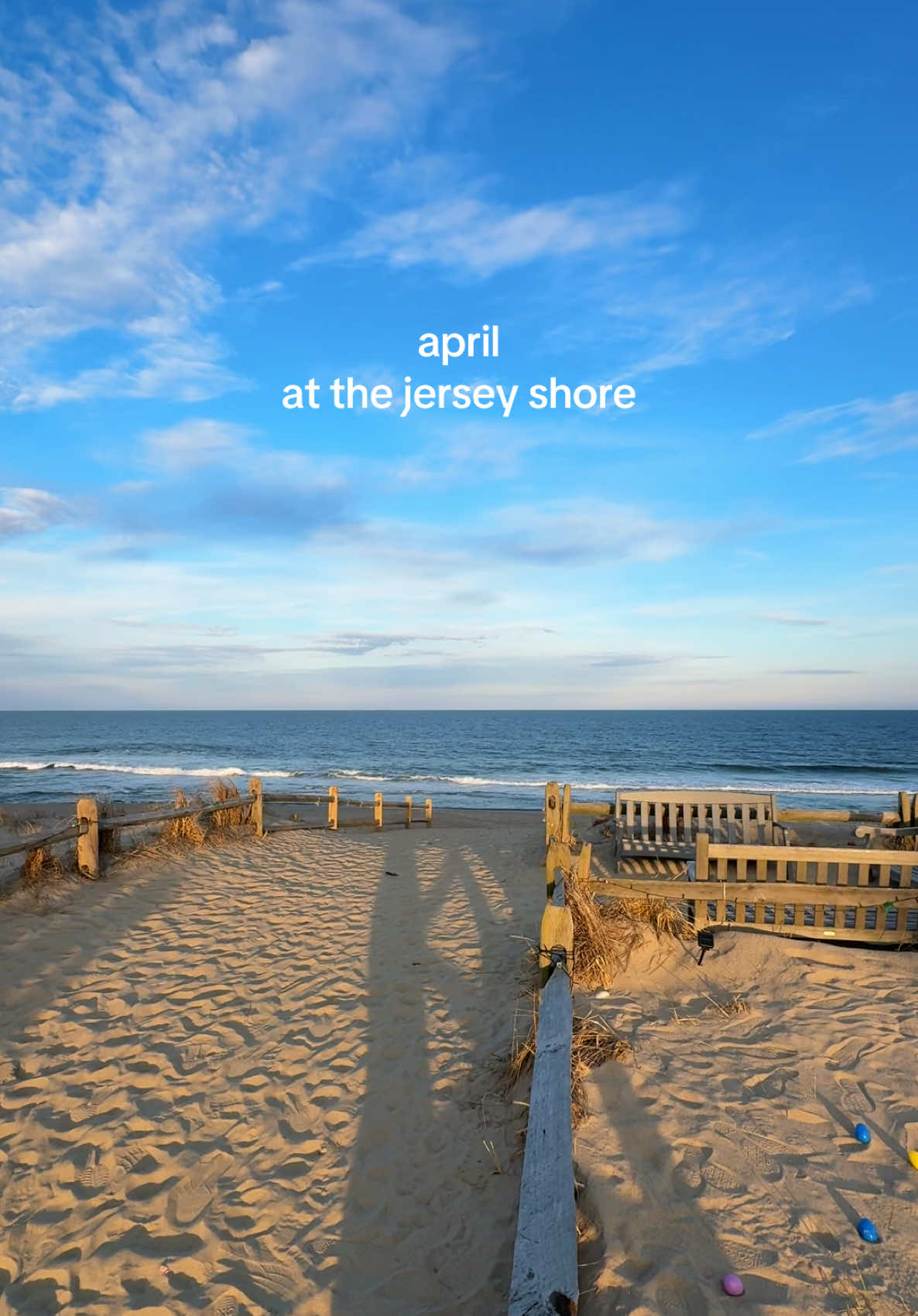 @Rachel🐚