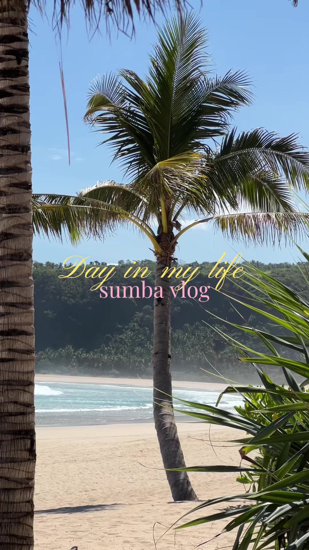 @Aimee Bell - Travel & Life