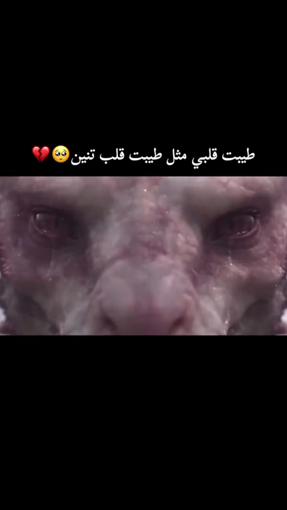 @أمــِيــِـــ𓅇꙰ــرِة💜