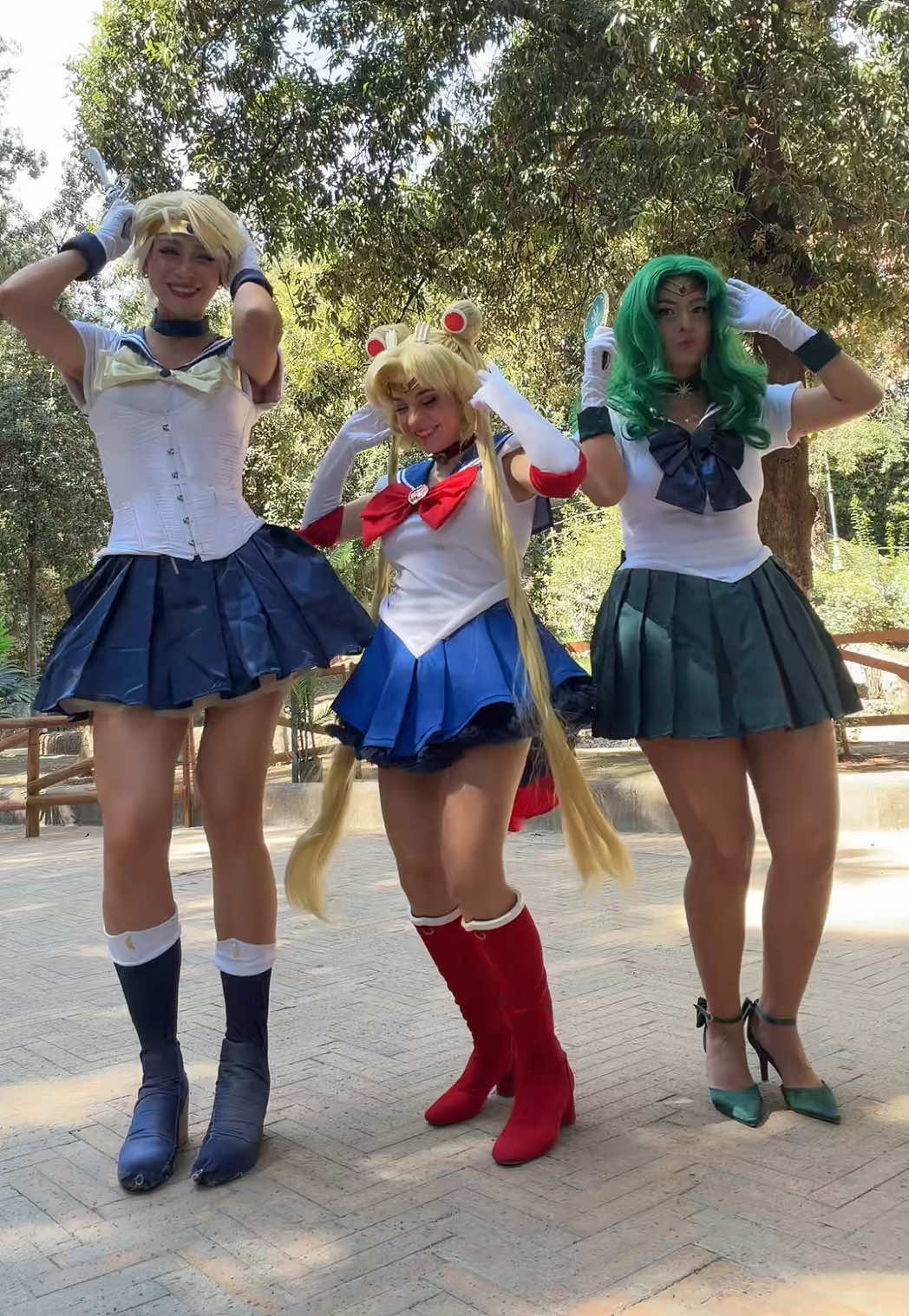 @✨Araara✨
