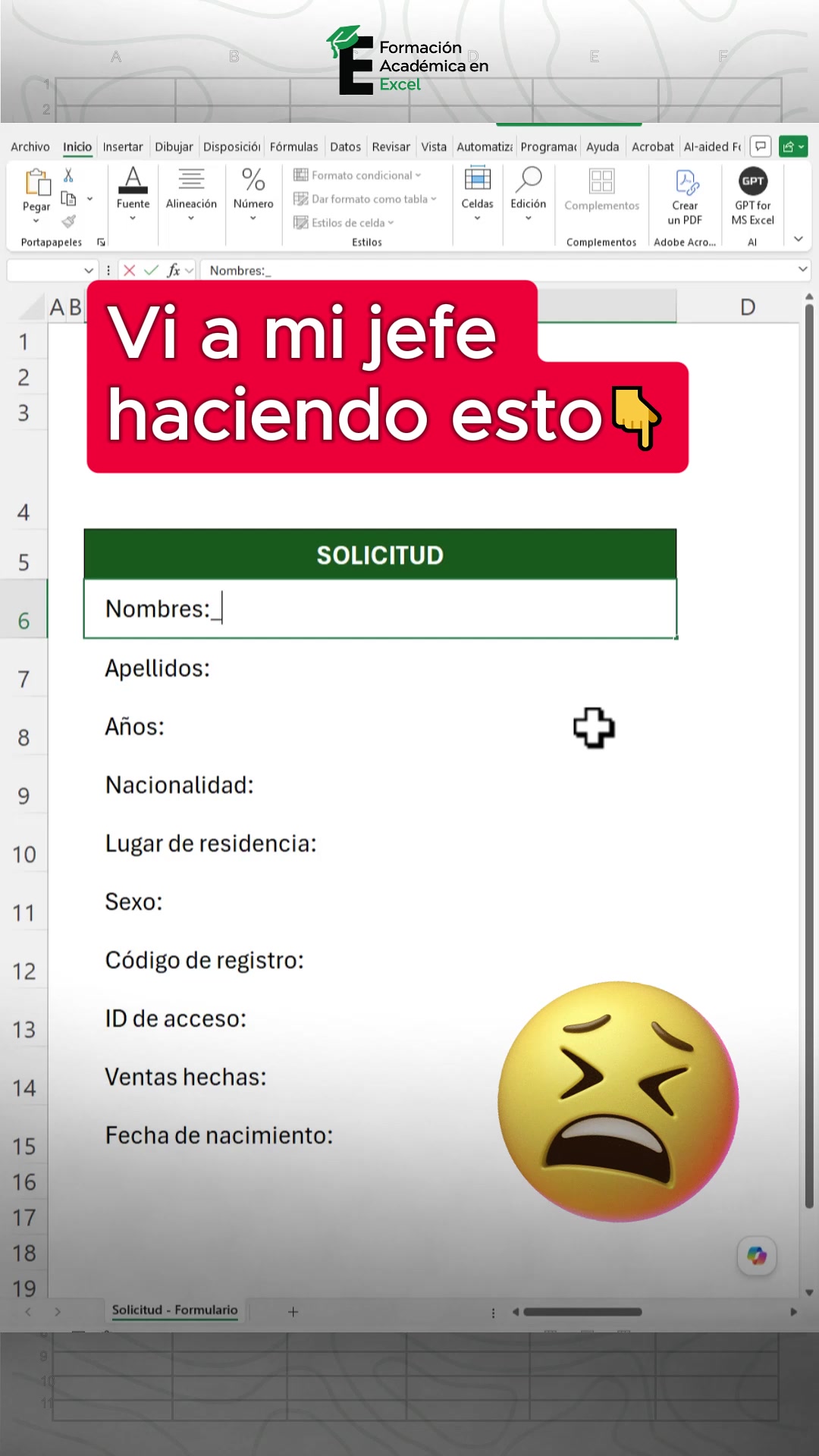 @FAE Formaci&oacute;n Acad&eacute;mica Excel