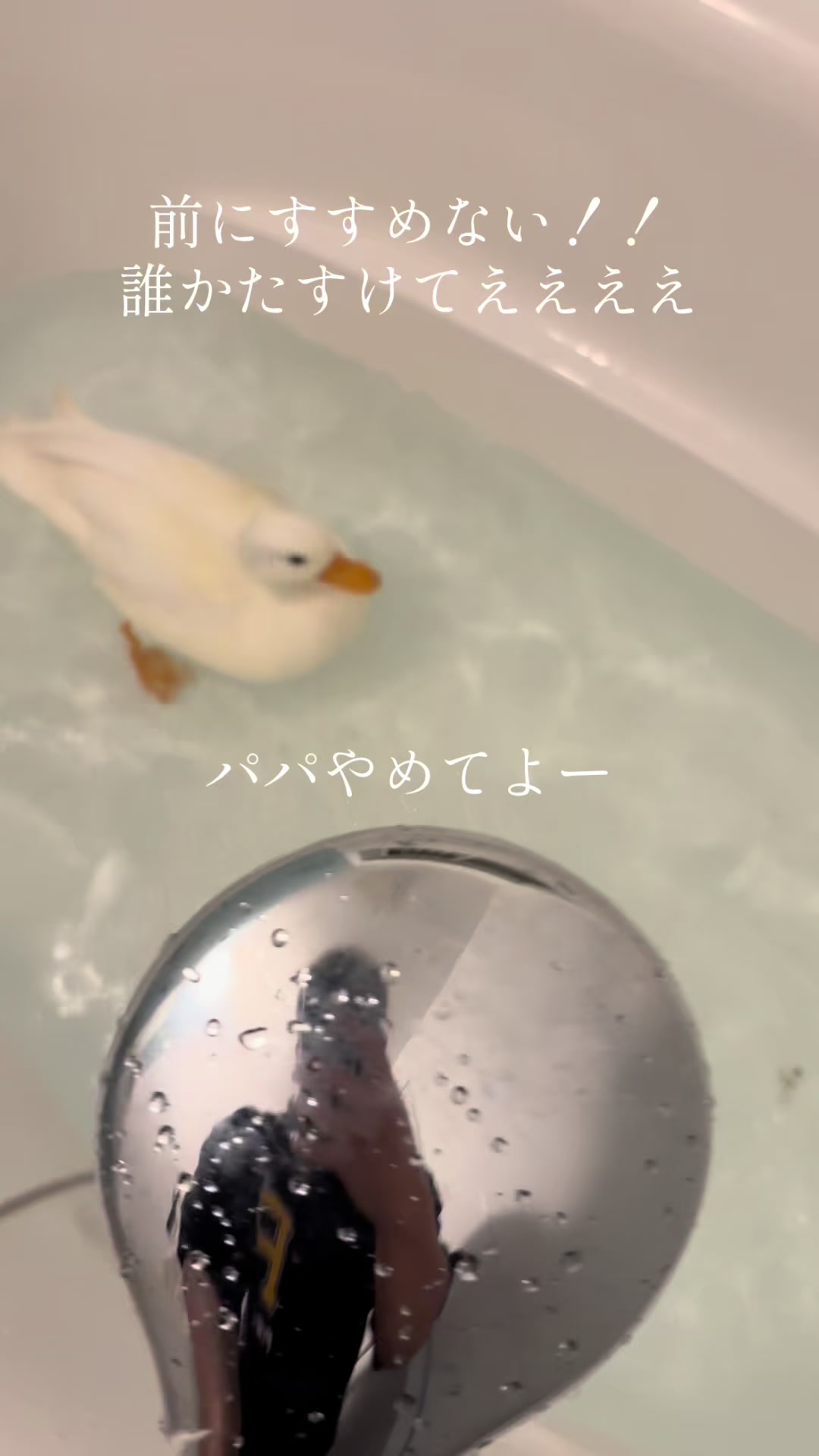 @モッチャン