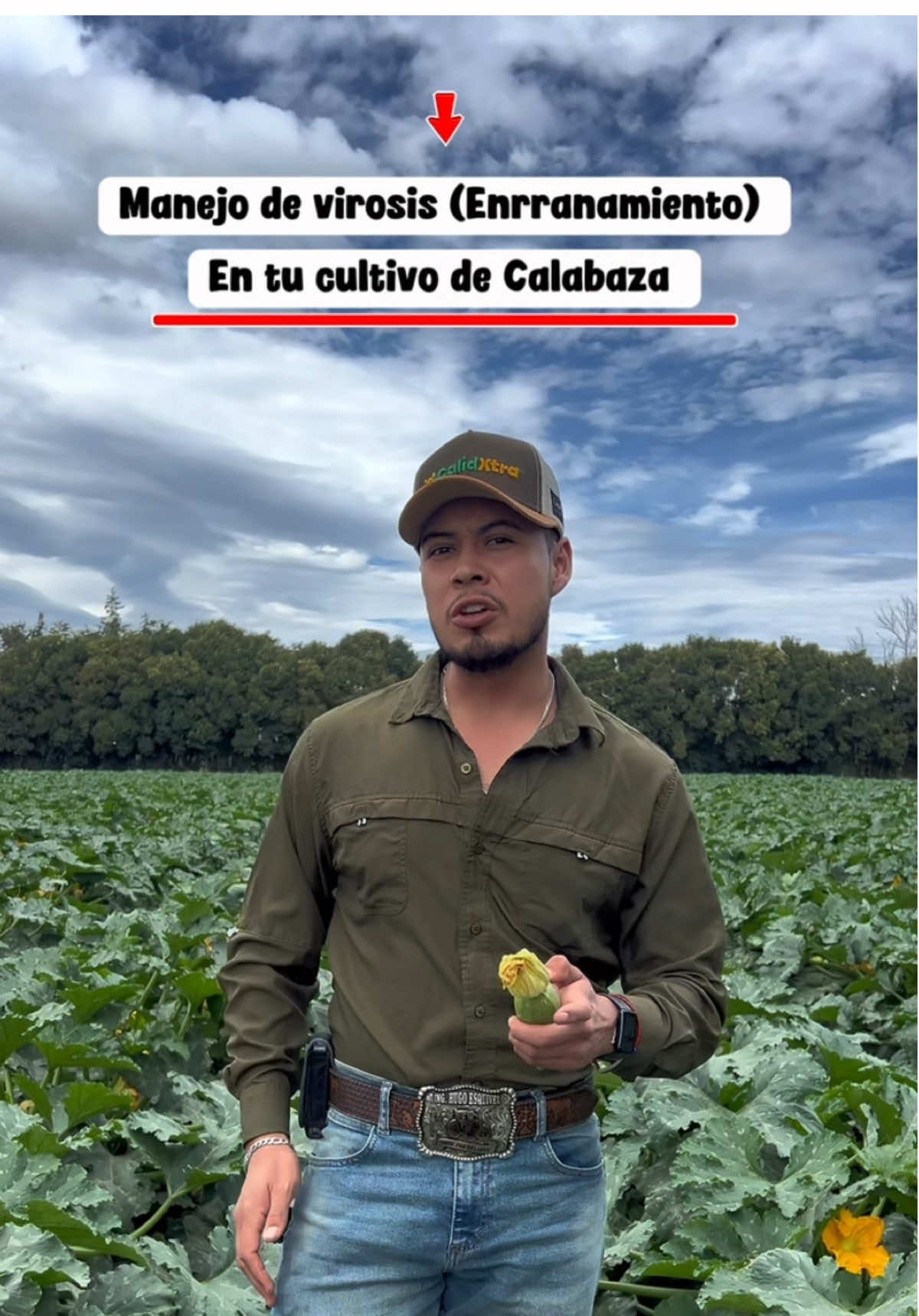 @agroboy_mx