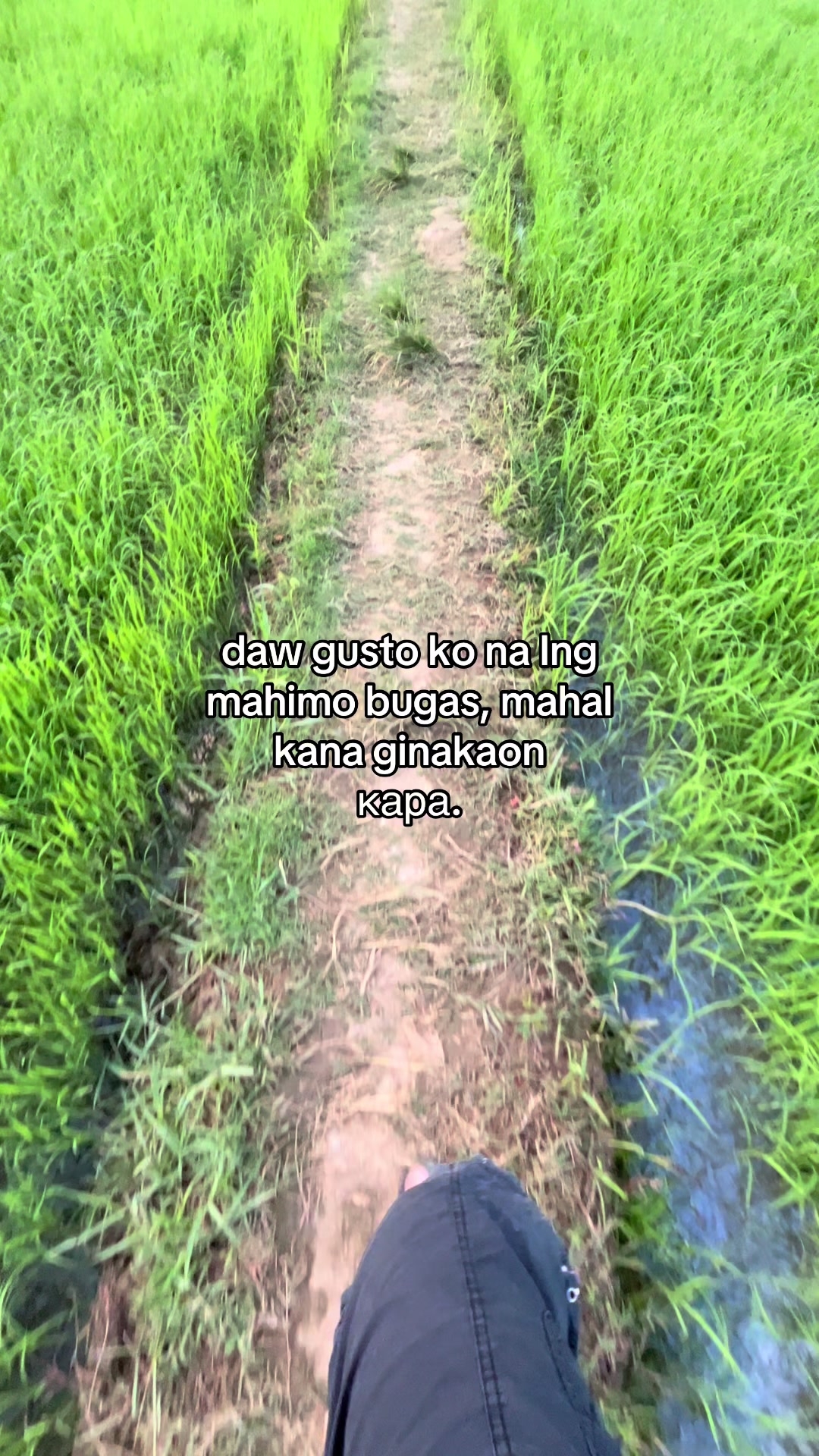 @bentong_on_fb