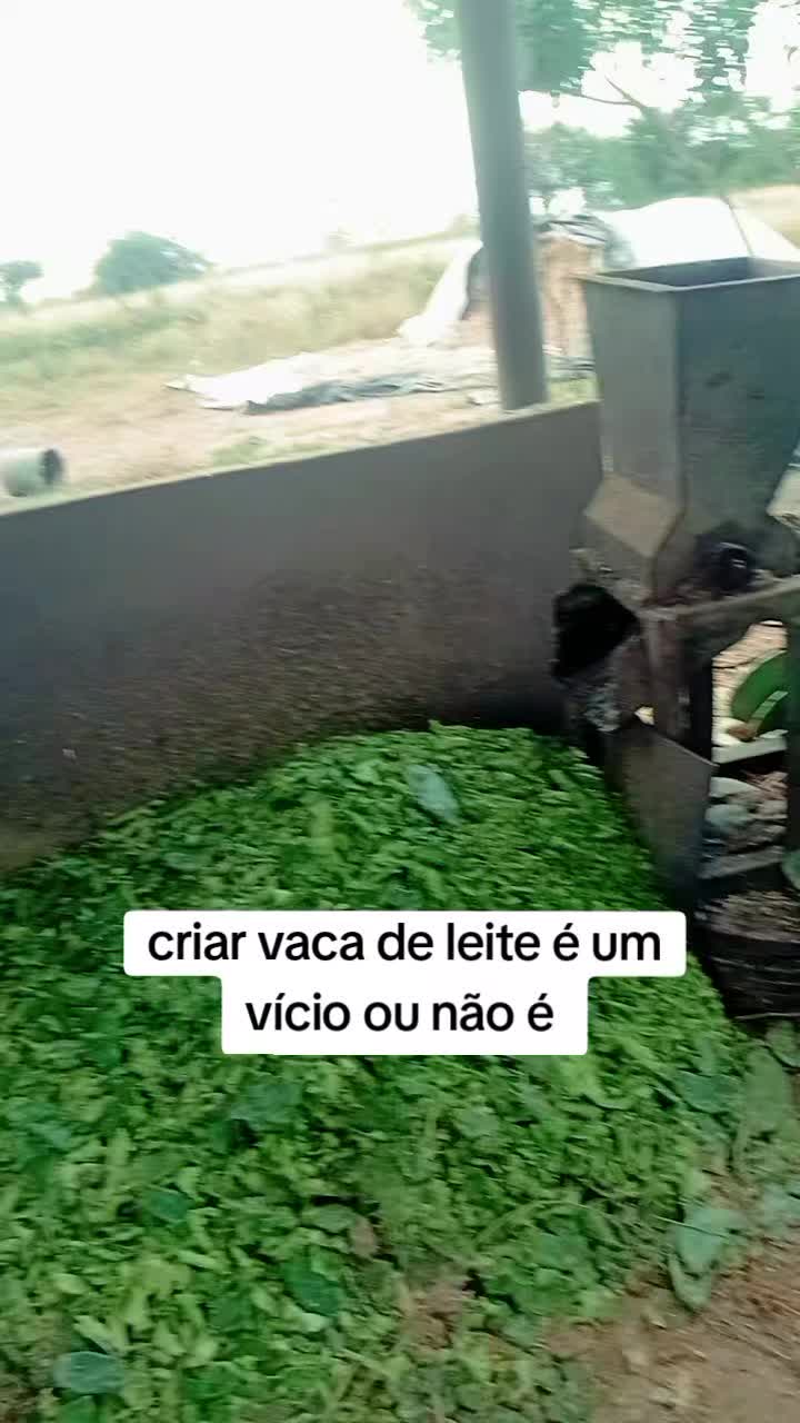 @jocriador