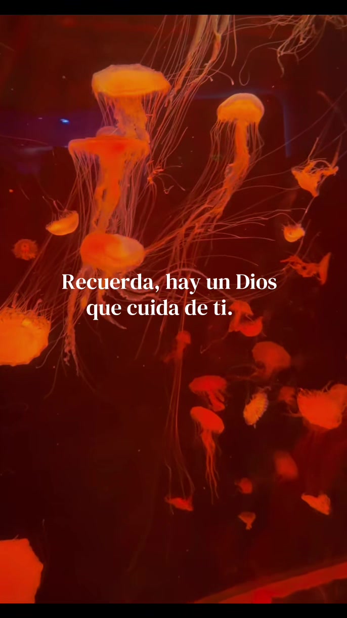 @Mar&iacute;a MH✨