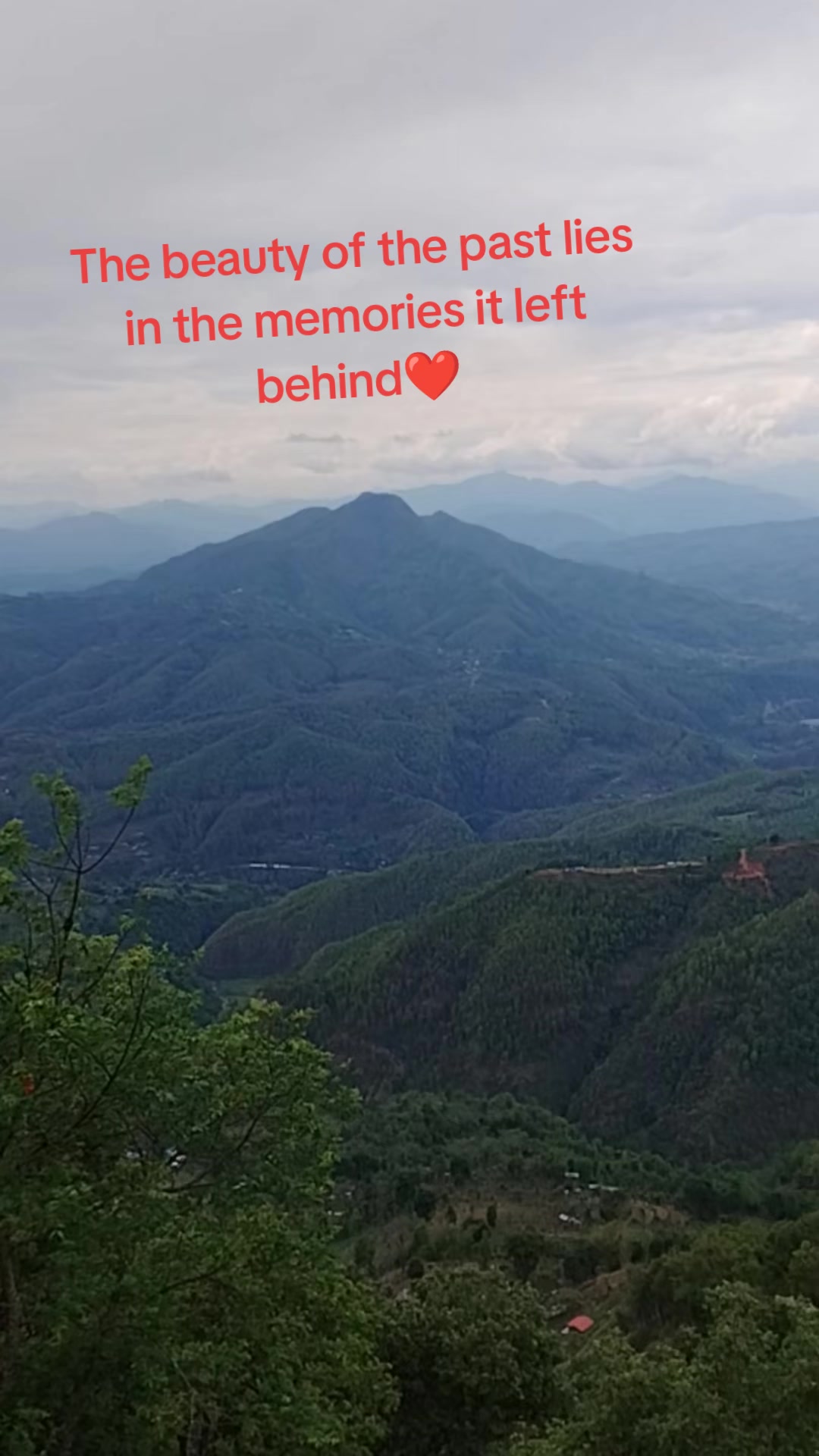 @Rashmi Thakur