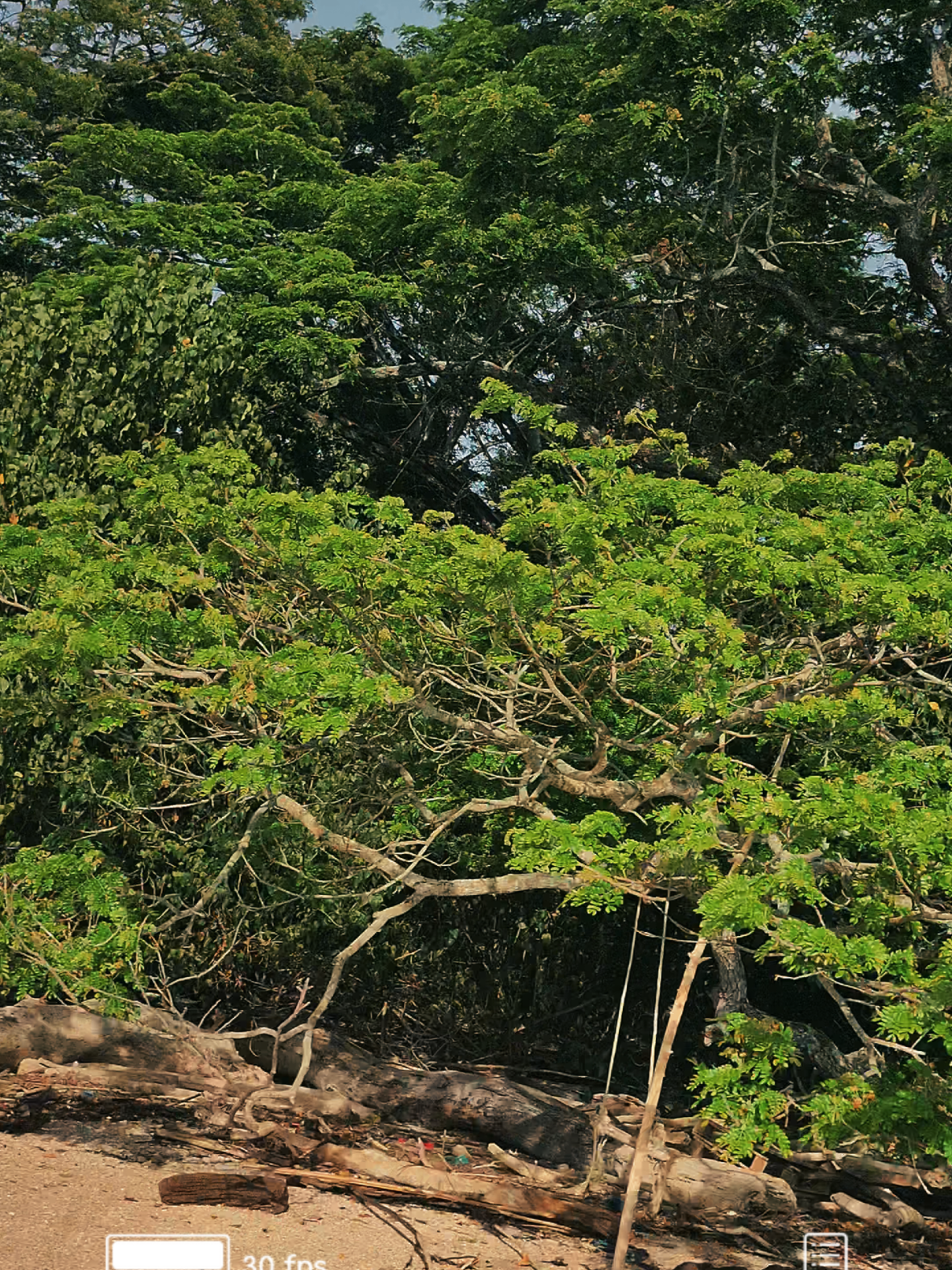 @Rasta Tours CR