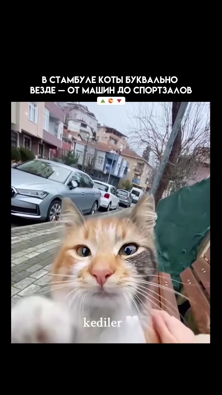 @Pikabu