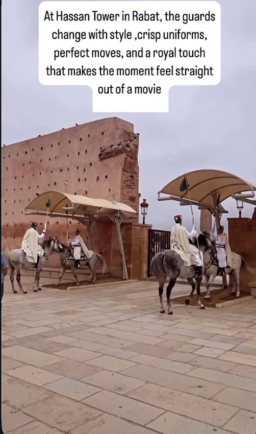 @HORSES