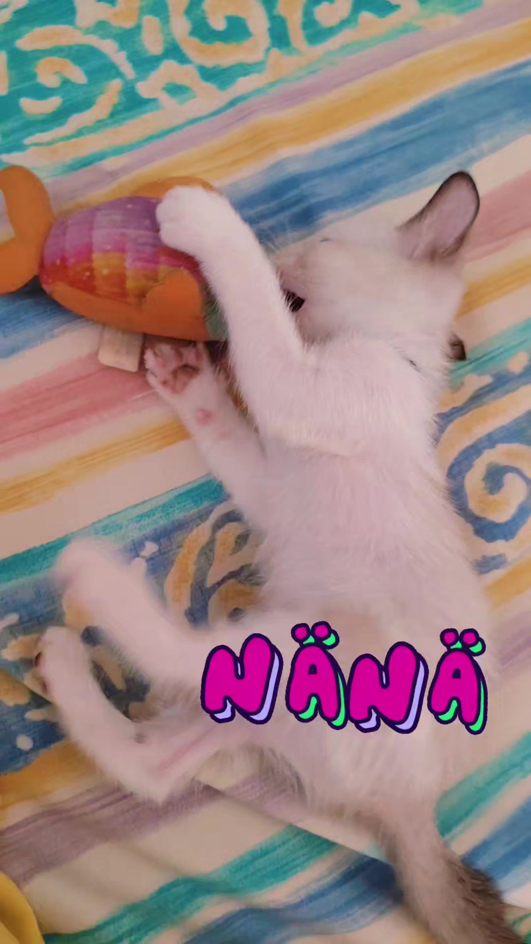 @weenah101