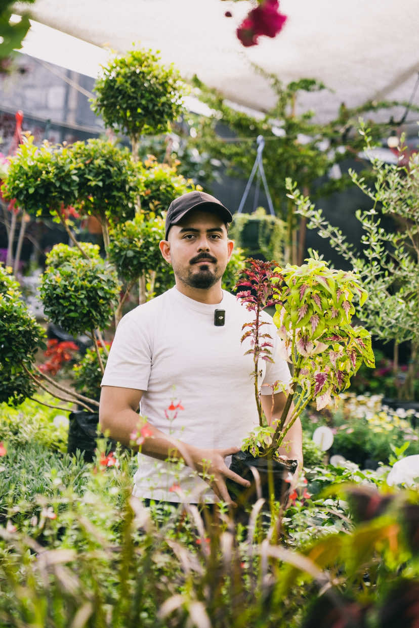 @Macetare Garden Shop Ecuador