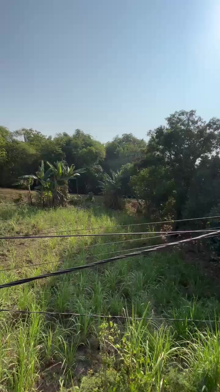 @Putra dekorasi madiun