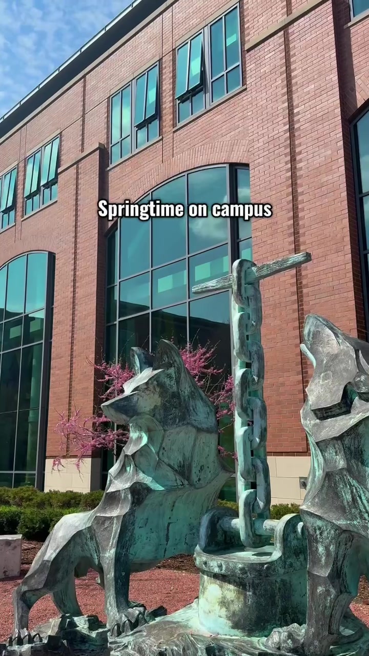 @lucalumni