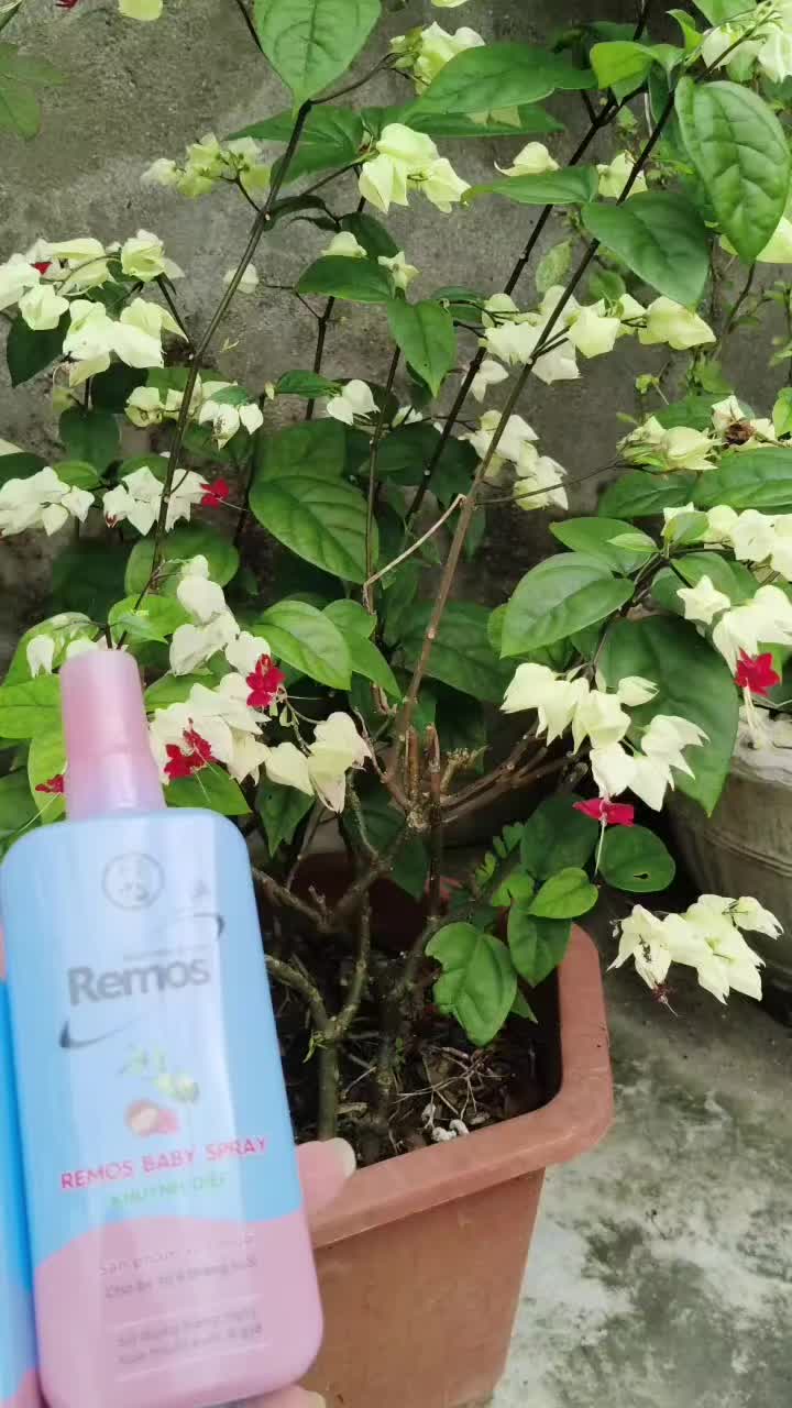 @Nguyễn Thiện Nhân