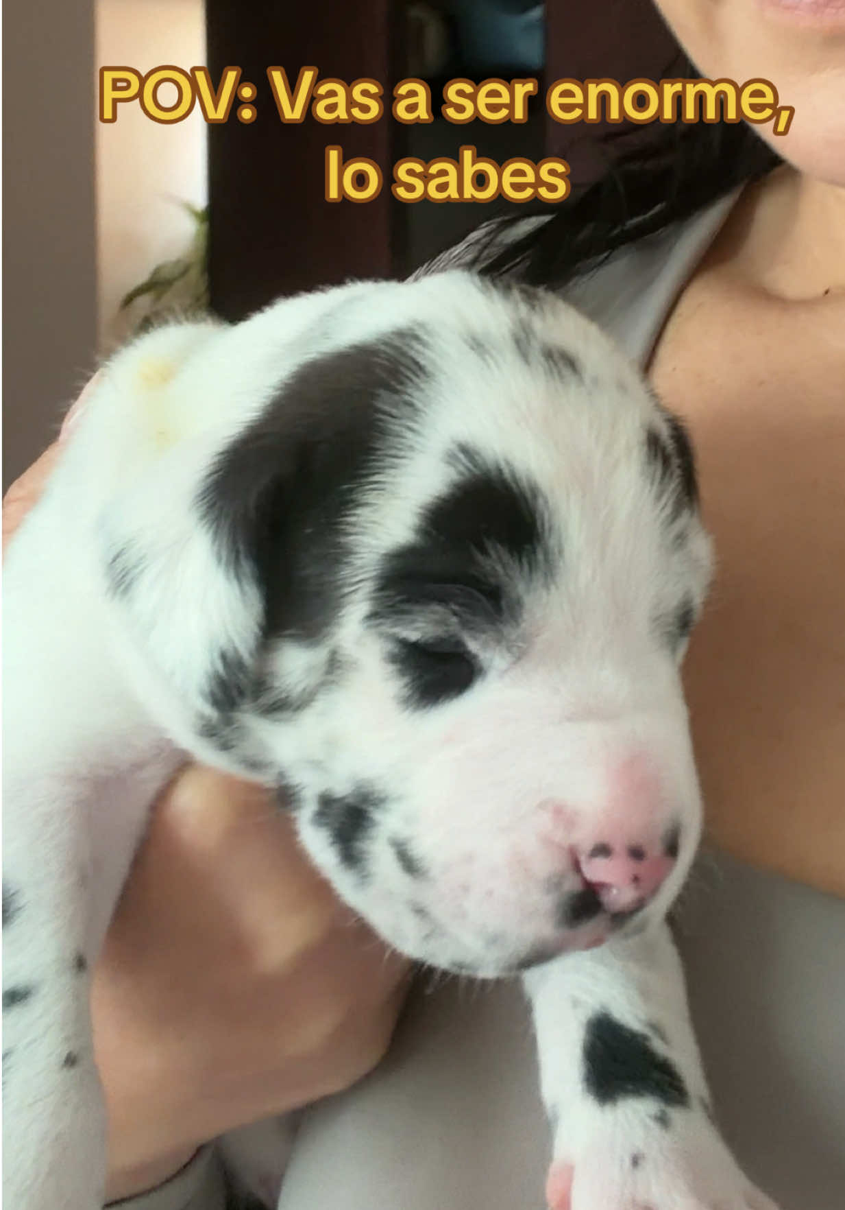 @gigante_pero_bebe
