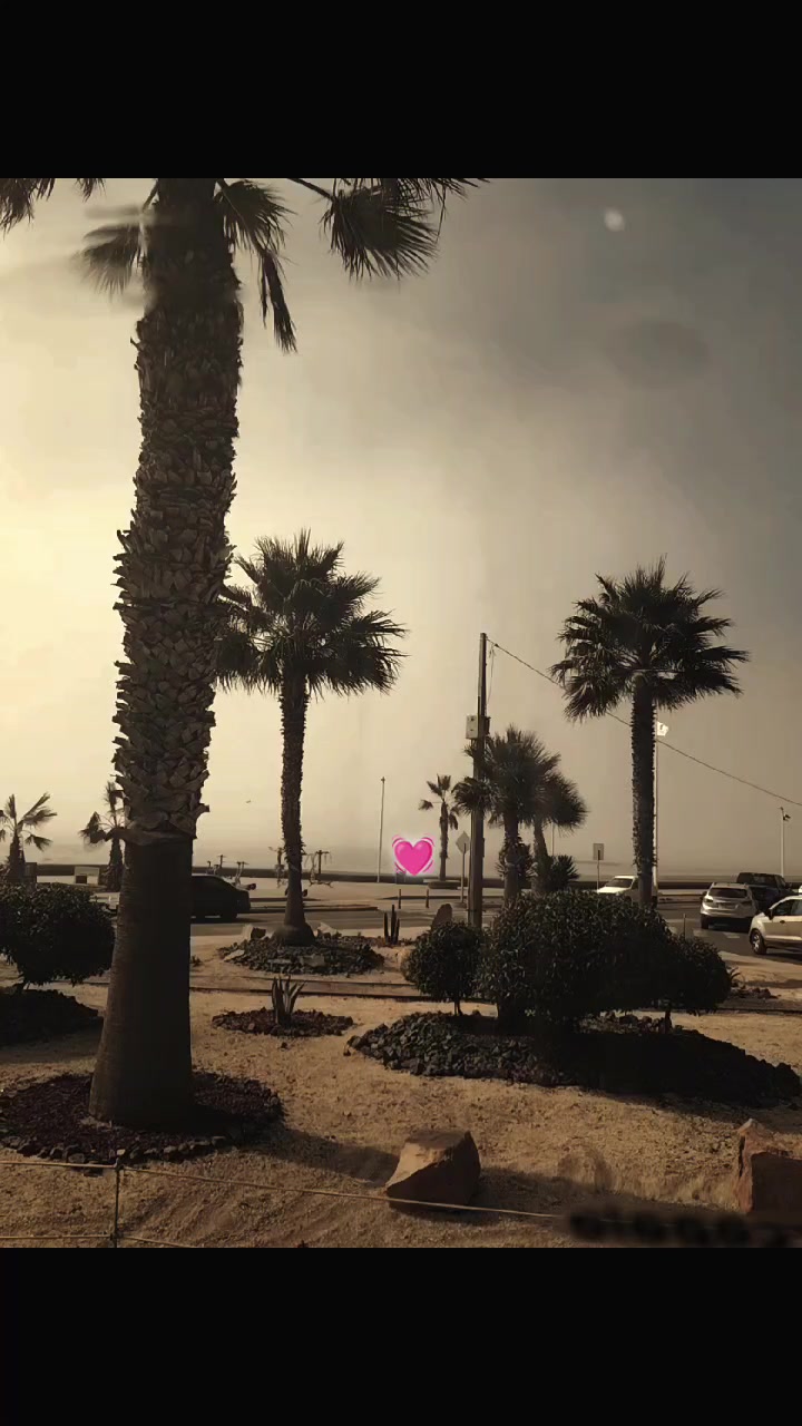 @mar🦋