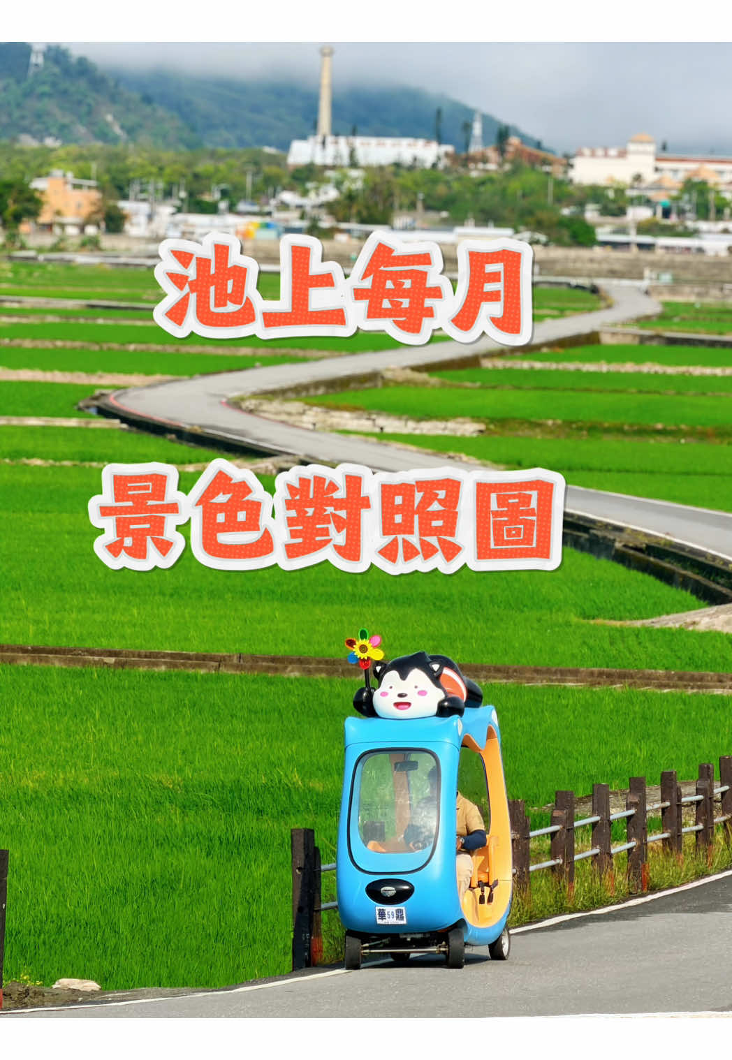 @美娴（華鼎自行車出租店）
